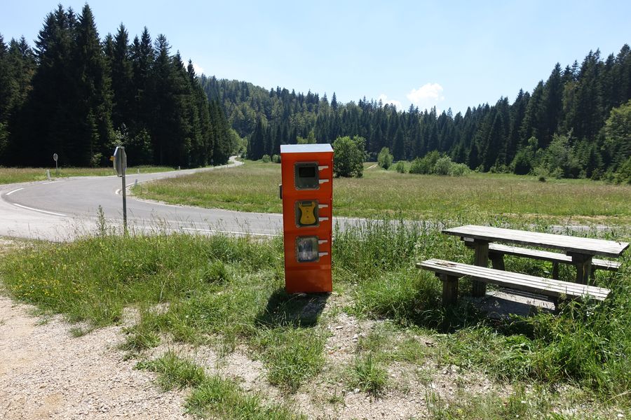 SOS Točka ob ovinku ceste sredi travnika, obdanega z gozdom