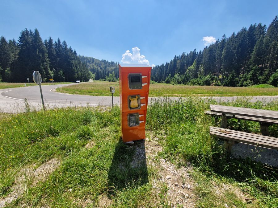 SOS Točka ob gozdni cesti s počivališčem in smrekovim gozdom v ozadju